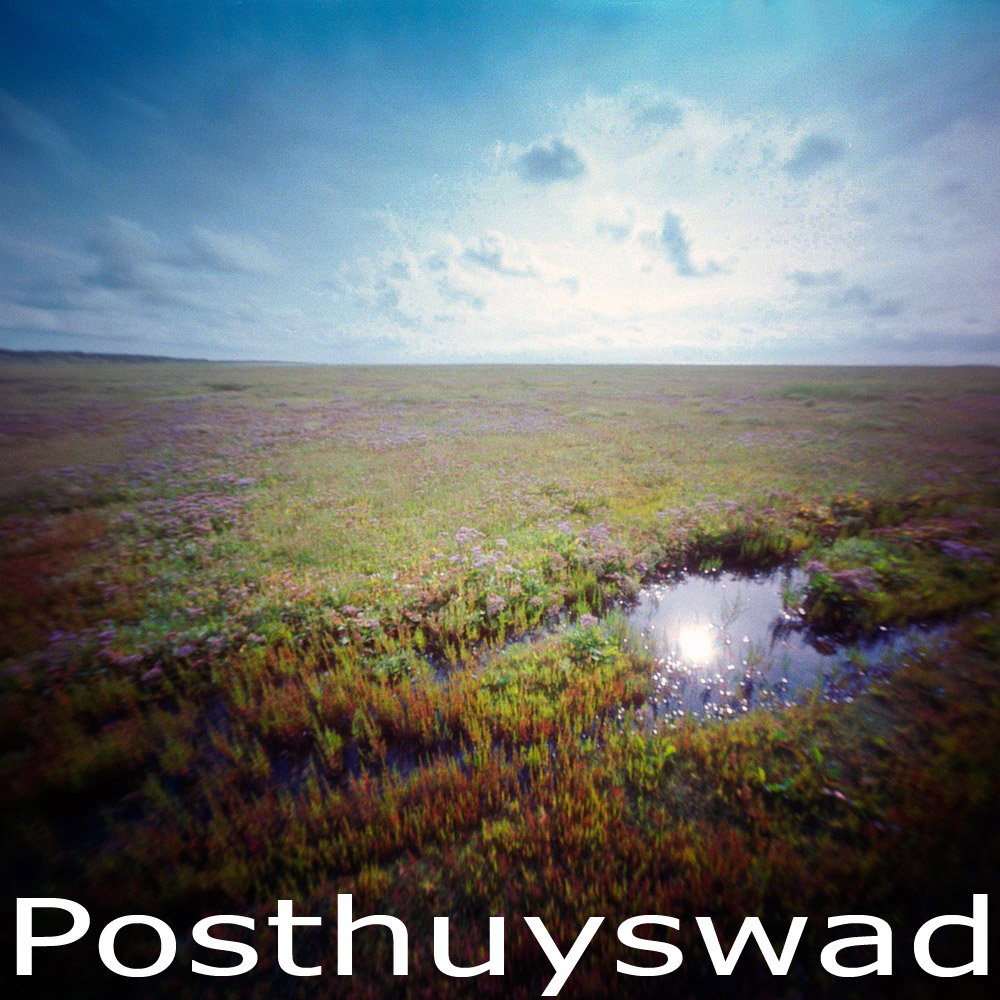 Posthuyswad