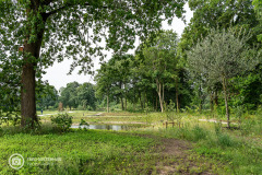 20210622_amersfoort_park-elisabeth-groen_023
